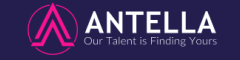 Travel Operations Executive Logo