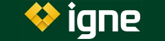 Igne Group Ltd Logo