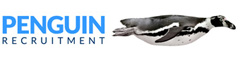 Senior Transport Planner Logo