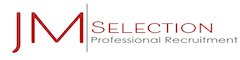 Software Systems Engineer Logo