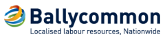 Cscs Labourer Logo