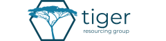 Senior Solution Architect – Banking Logo