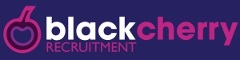 Public Affairs Senior Account Manager – Sheffield or Manchester Logo