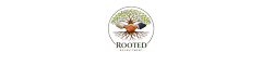 Network IT Engineer Logo