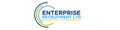 Embedded Software Engineer Logo